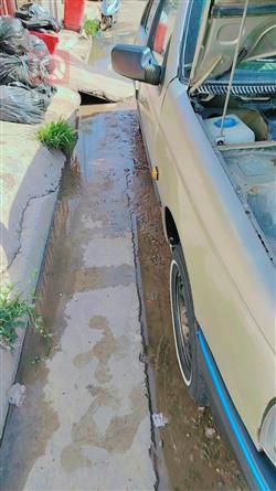 بيجو روا